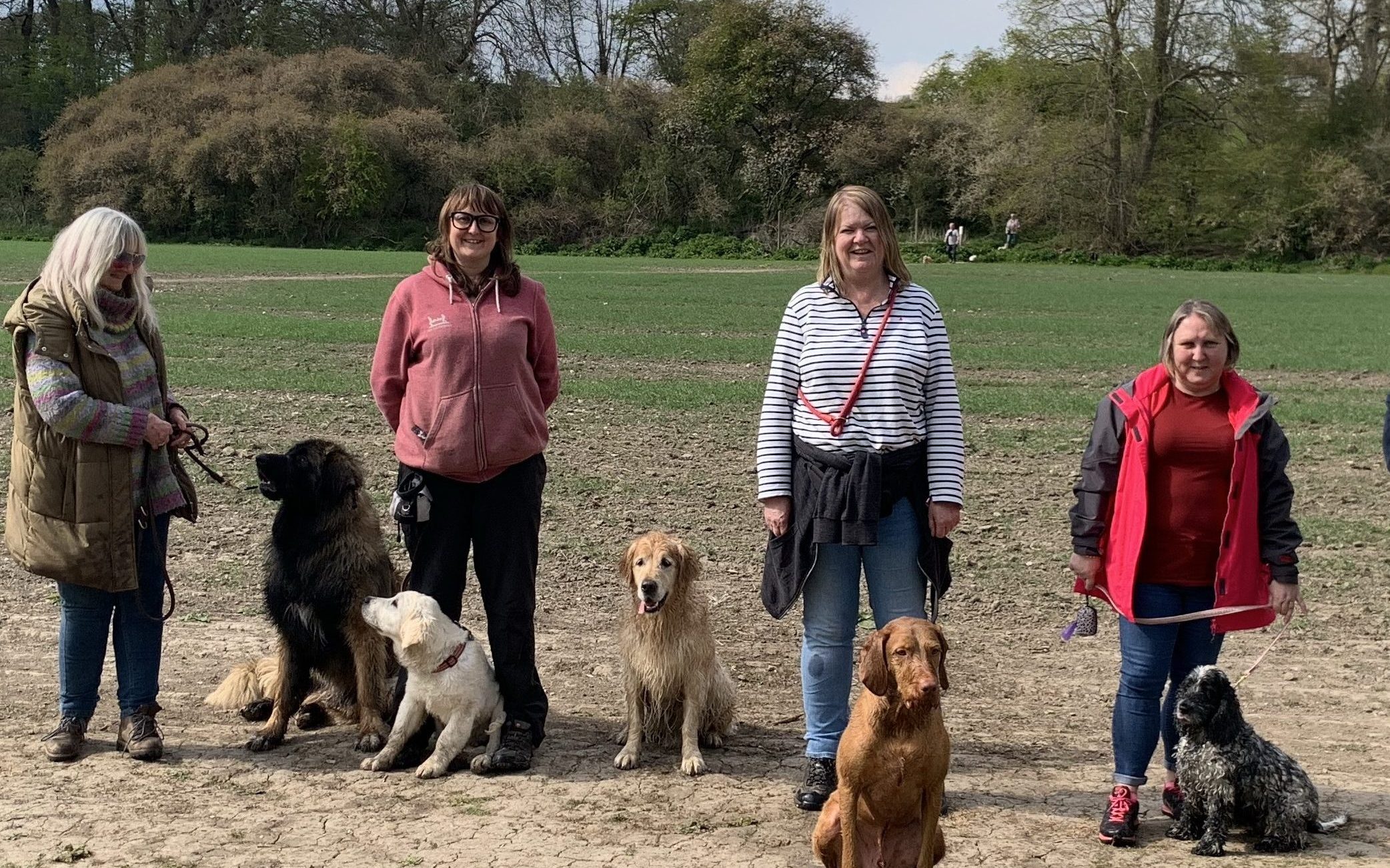 Qualified dog trainers that teach dog obedience training at Gade Dog Training Society in group classes with their own dogs that they train